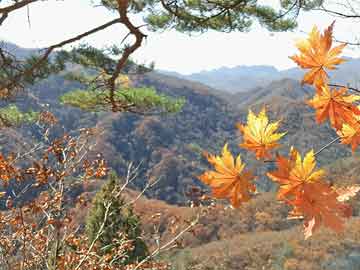 澳门最精准免费资料合法性探讨大全旅游景点,精选解析、解释与落实